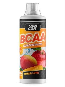 2SN BCAA CONCENTRATE 500ML